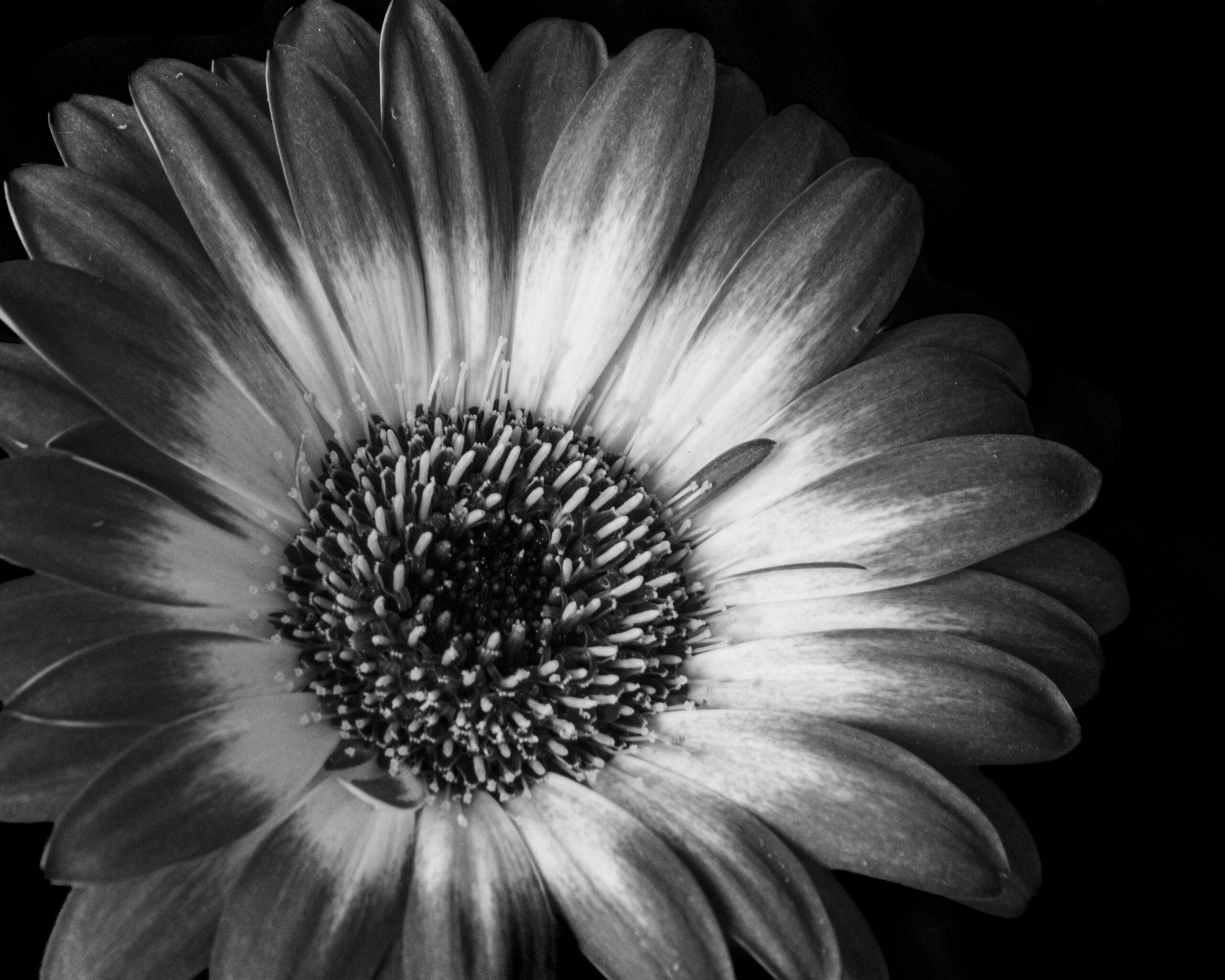 B&W Photos